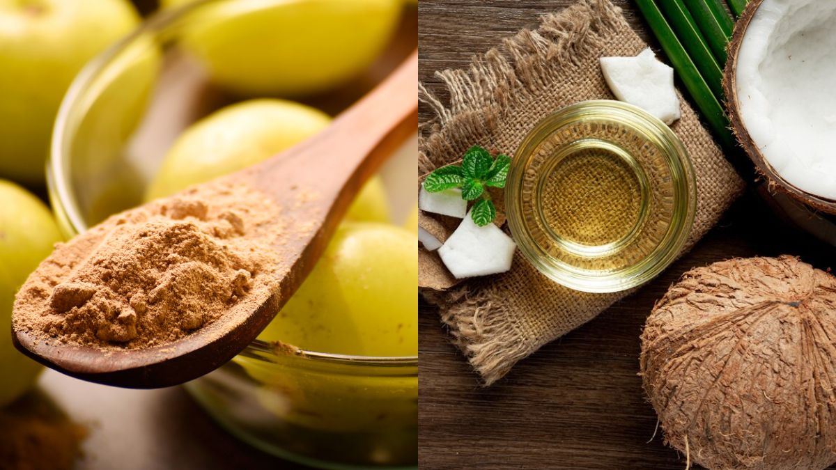 Coconut And Amla Oil: ஆம்லா பொடியை தேங்காய் எண்ணெயுடன் கலந்து முடிக்கு பயன்படுத்தலாமா?