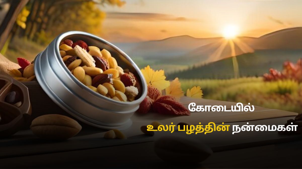 Dry Fruits in Summer: கோடையில் உலர் பழங்கள் சாப்பிடலாமா.? இதன் நன்மைகள் இங்கே…