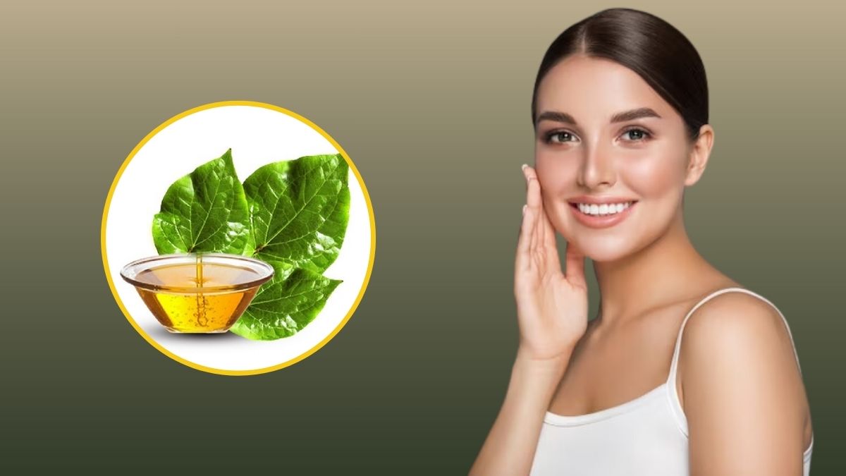 Betel Leaf Oil: சருமம், முடி பிரச்சனைகளைத் தீர்க்க உதவும் மந்திர எண்ணெய்! ஈஸியான முறையில் இப்படி செய்யுங்க