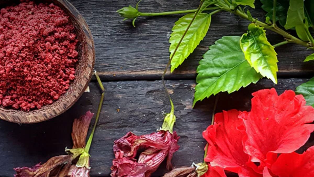 Hibiscus Powder: முகப்பொலிவுக்கும், முடி அடர்த்திக்கும் உதவும் செம்பருத்தி பவுடர்! எப்படி தயார் செய்யலாம்?