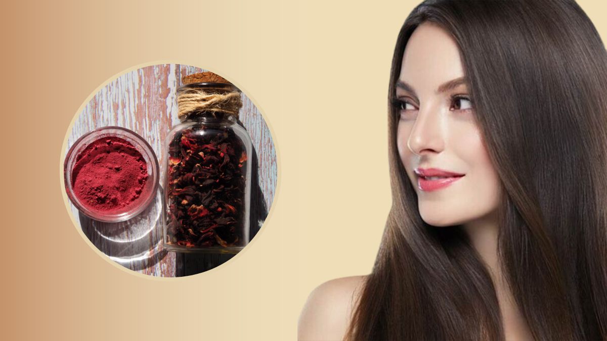 Hibiscus Powder: பொசு பொசுனு முடி வளர செம்பருத்தி பவுடரை இந்த பொருள்களோட யூஸ் பண்ணுங்க