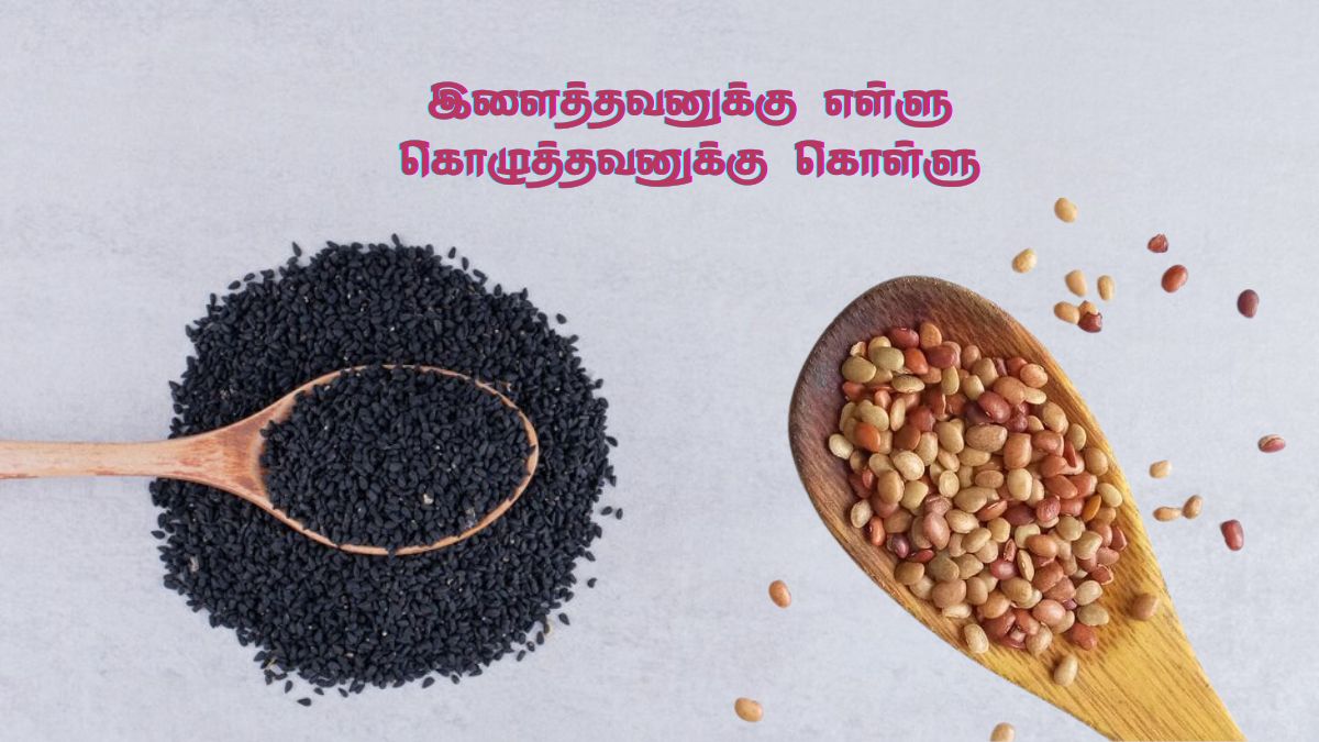 இளைச்சவனுக்கு எள்ளு, கொழுத்தவனுக்கு கொள்ளு - இது ஏன் சொல்றாங்க தெரியுமா?