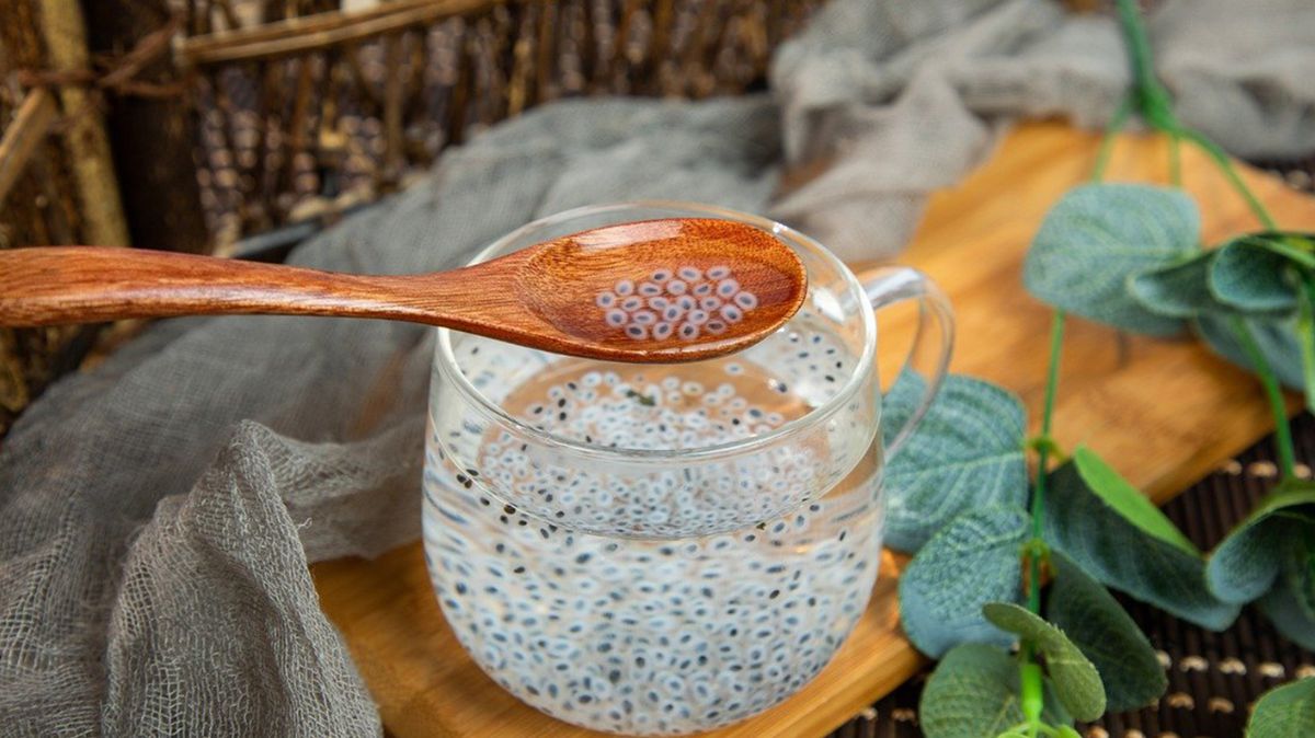 Sabja Water Benefits: தினமும் வெறும் வயிற்றில் சப்ஜா நீர் குடிப்பது எவ்வளவு நல்லது தெரியுமா?