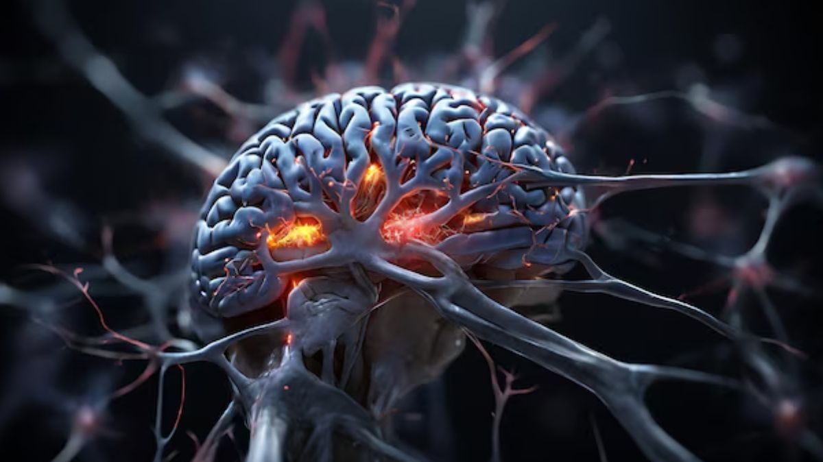 Brain Power: மூளையை கம்ப்யூட்டர் போல வேகமாக்கும் மாதுளை.. இப்படி சாப்பிடுங்க!