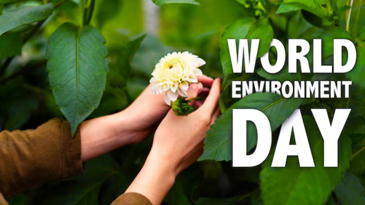 World Environment Day: உலக சுற்றுச்சூழல் தினம் ஜூன் 5 ஏன் கொண்டாடப்படுகிறது?