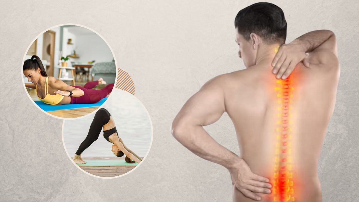 Yoga for Back Pain: ரொம்ப நேரம் உட்கார்ந்து முதுகு வலியா? இந்த யோகாசனங்களை செய்யுங்க