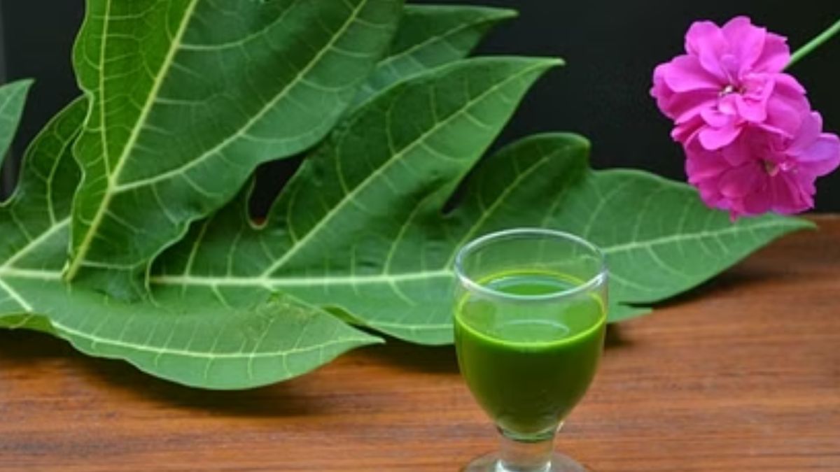 Papaya Leaf Benefits: டெங்கு முதல் சர்க்கரை வியாதி வரை… பல பிரச்சினையை சரி செய்யும் பப்பாளி இலை ஜூஸ்!!