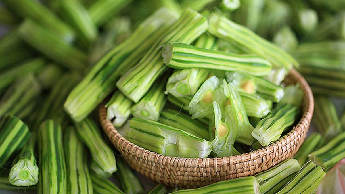 Drumstick: பருவமழையில் நோய் எதிர்ப்பு சக்தியை அதிகரிக்க முருங்கைக்காயை இப்படி சாப்பிடுங்க!!