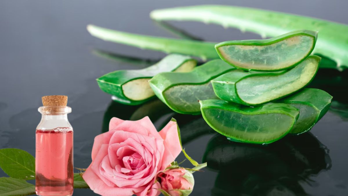Homemade Rose Gel: சருமத்தை ஜொலி ஜொலிக்க வைக்கும் ரோஸ் ஜெல்! இப்படி வீட்டிலேயே தயார் செய்யுங்க