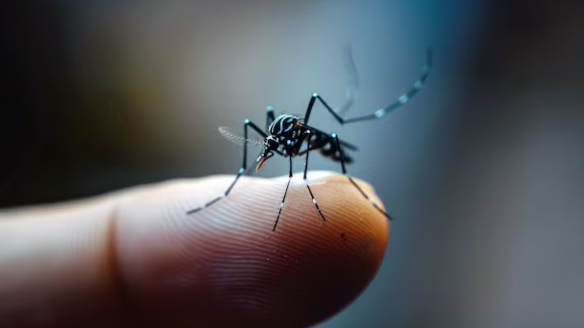 Dengue During Monsoon: டெங்கு காய்ச்சலைத் தடுக்க என்னவெல்லாம் செய்ய வேண்டும்?
