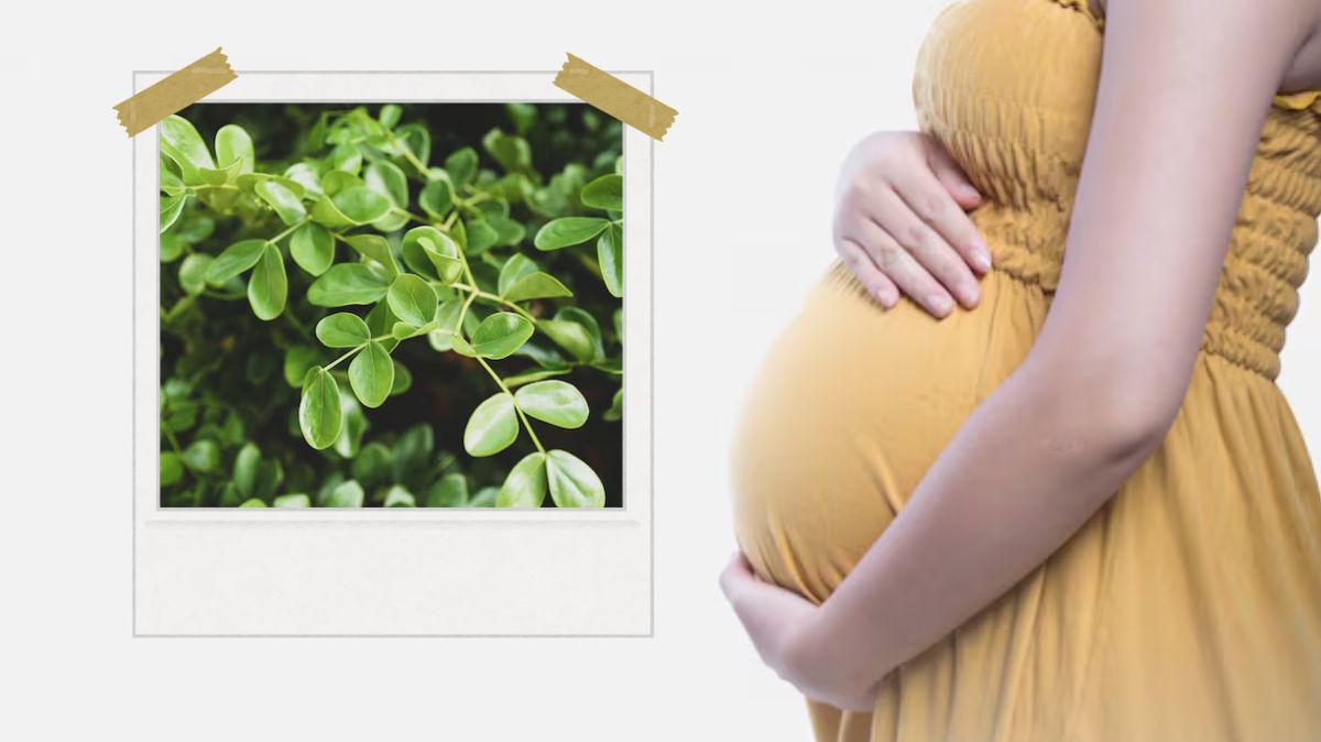 Moringa Leaves Benefits: கர்ப்ப காலத்தில் முருங்கை கீரை சாப்பிடுவது எவ்வளவு நல்லது தெரியுமா.?