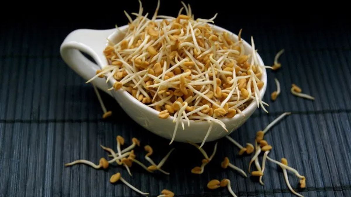 Vendhayam Benefits: அடேங்கப்பா… முளைக்கட்டிய வெந்தயம் சாப்பிடுவது இவ்வளவு நல்லதா?