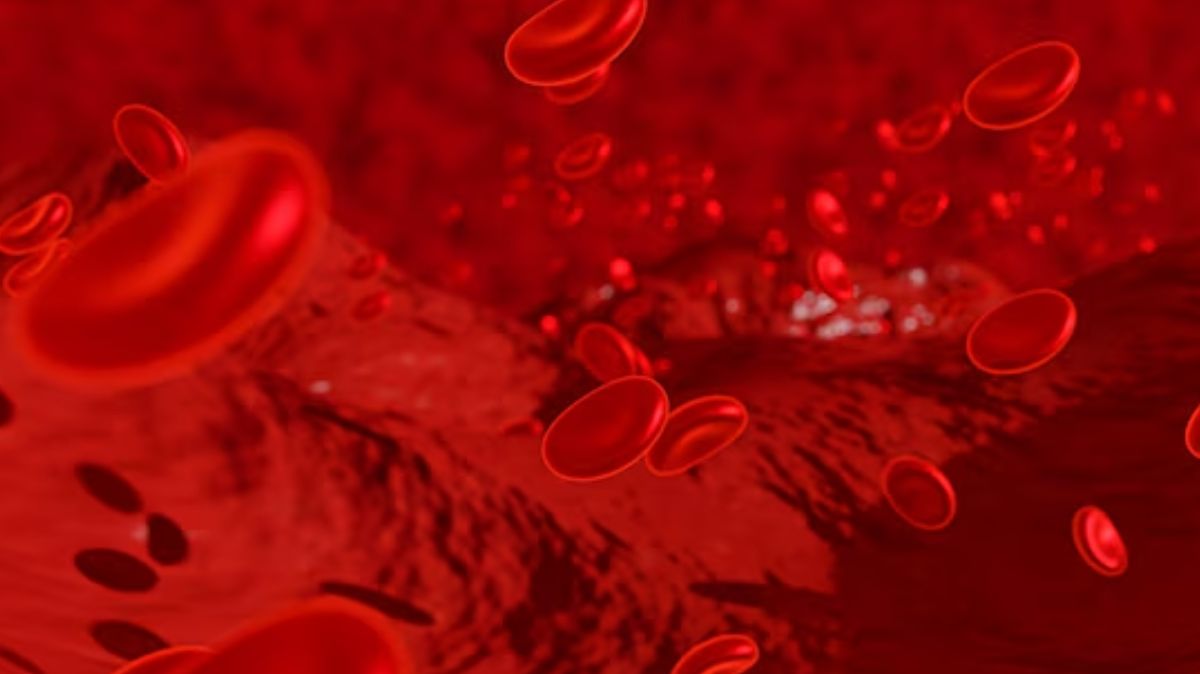 Anaemia Home Remedies: இரத்த சோகை அபாயத்தை குறைக்க இந்த இயற்கை முறையை பின்பற்றுங்கள்..
