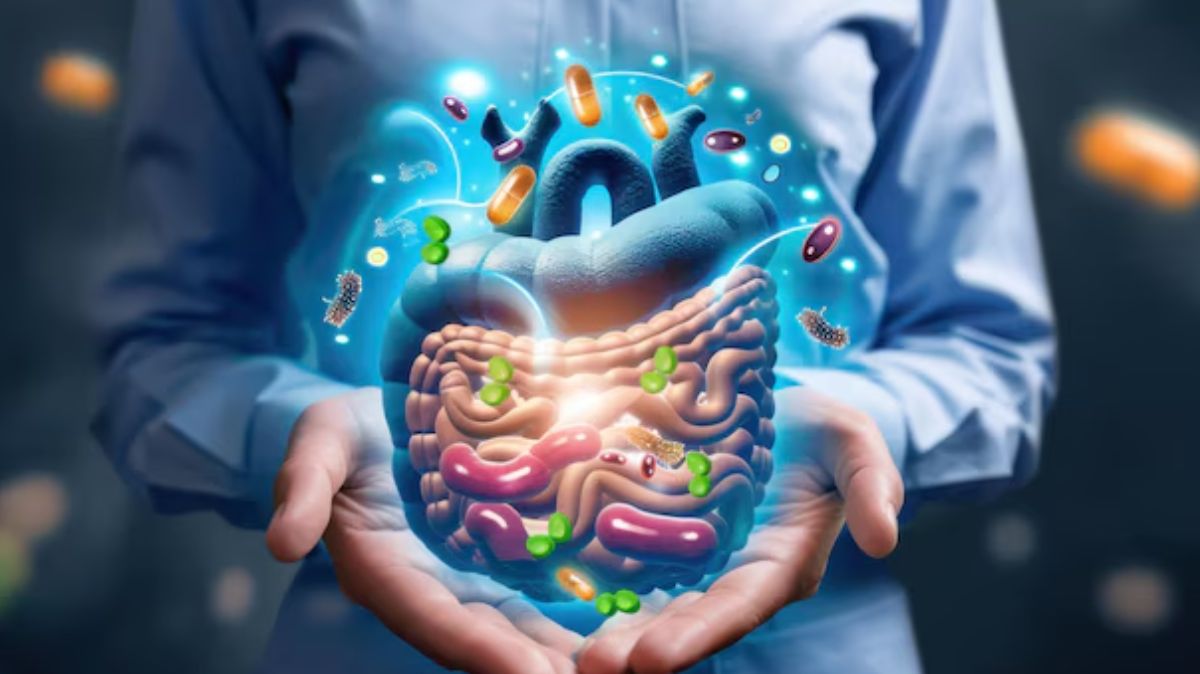 Poor Gut Health: குடல் பிரச்னை ஏற்படுவதற்கு இது தான் காரணம்..