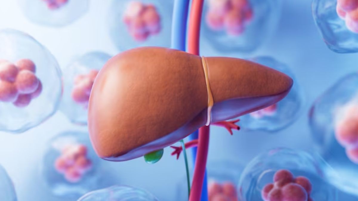 World Hepatitis Day 2024: ஹெபடைடிஸ் தொடர்பான கட்டுக்கதைகளை நம்புகிறீர்களா.? உண்மையை தெரிந்து கொள்ளுங்கள்..