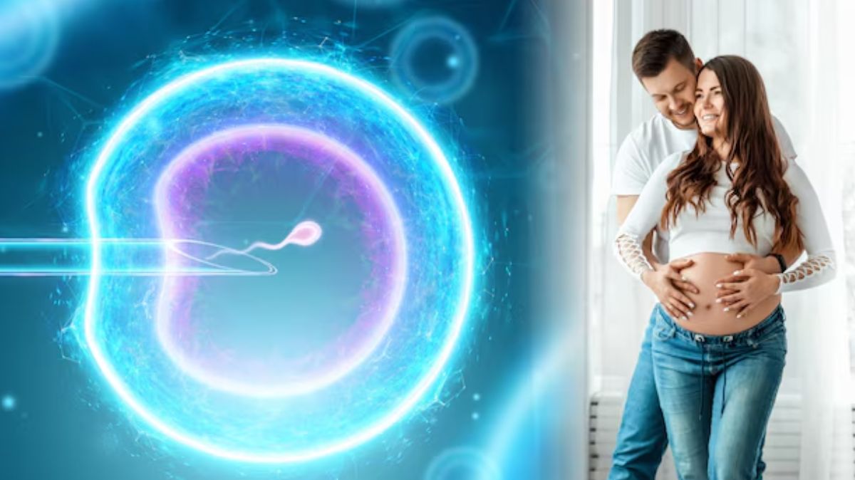 World IVF Day 2024: IVF தொடர்பான இந்த கட்டுக்கதைகளை நம்புகிறீர்களா? உண்மையை அறிந்து கொள்ளுங்கள்..