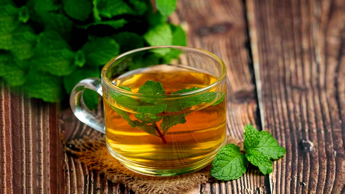 Mint Tea Benefits: பருவமழை காலத்தில் புதினா டீ குடிப்பது இவ்வளவு நல்லதா? நன்மைகள் இங்கே!!