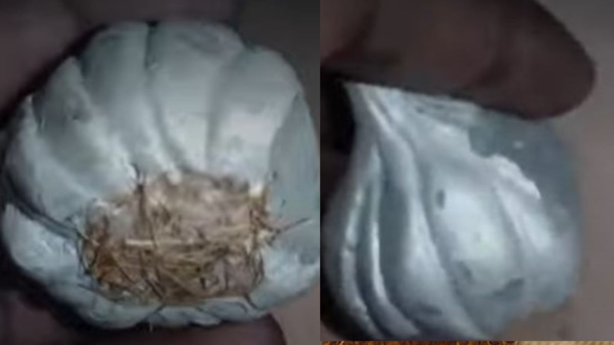 சிமெண்ட் மூலம் போலி பூண்டு தயாரித்து விற்பனை! உஷார்..