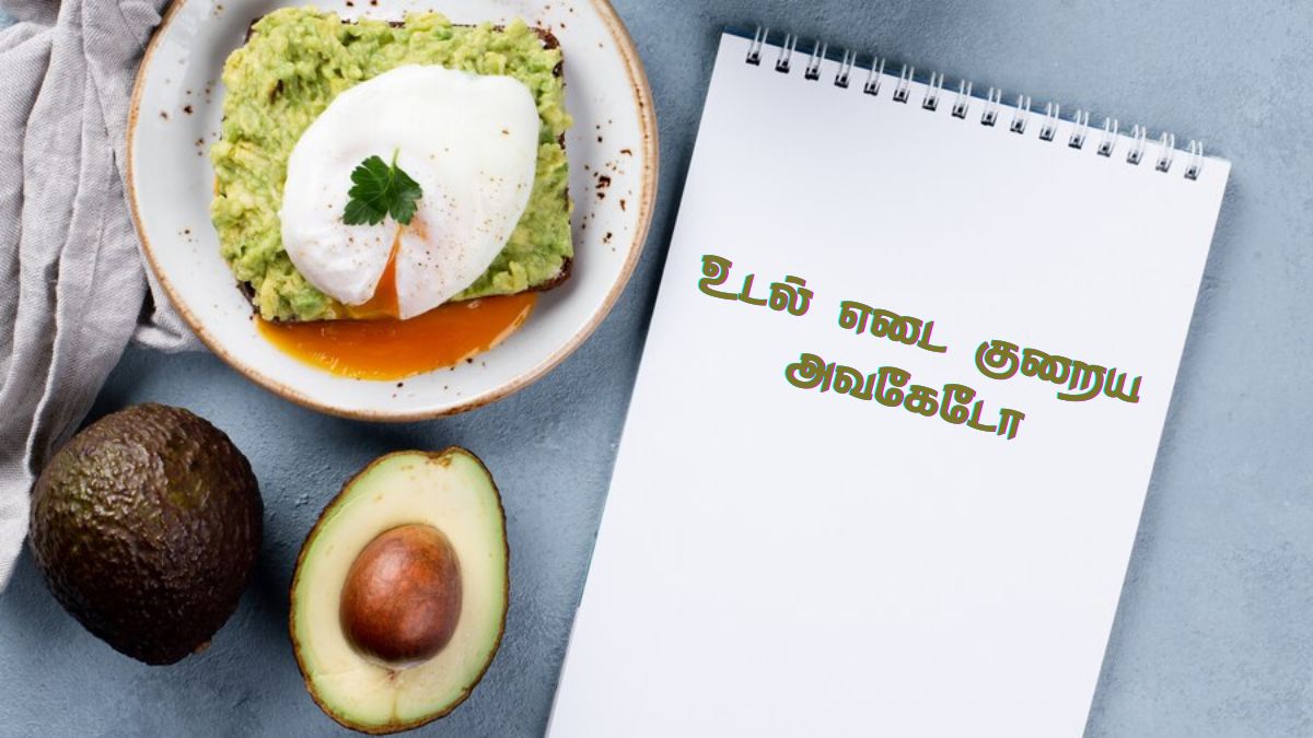 Avocado For Belly Fat: தொப்பையை வெண்ணெய் போல கரைக்கும் வெண்ணெய்பழம்! இப்படி சாப்பிடுங்க