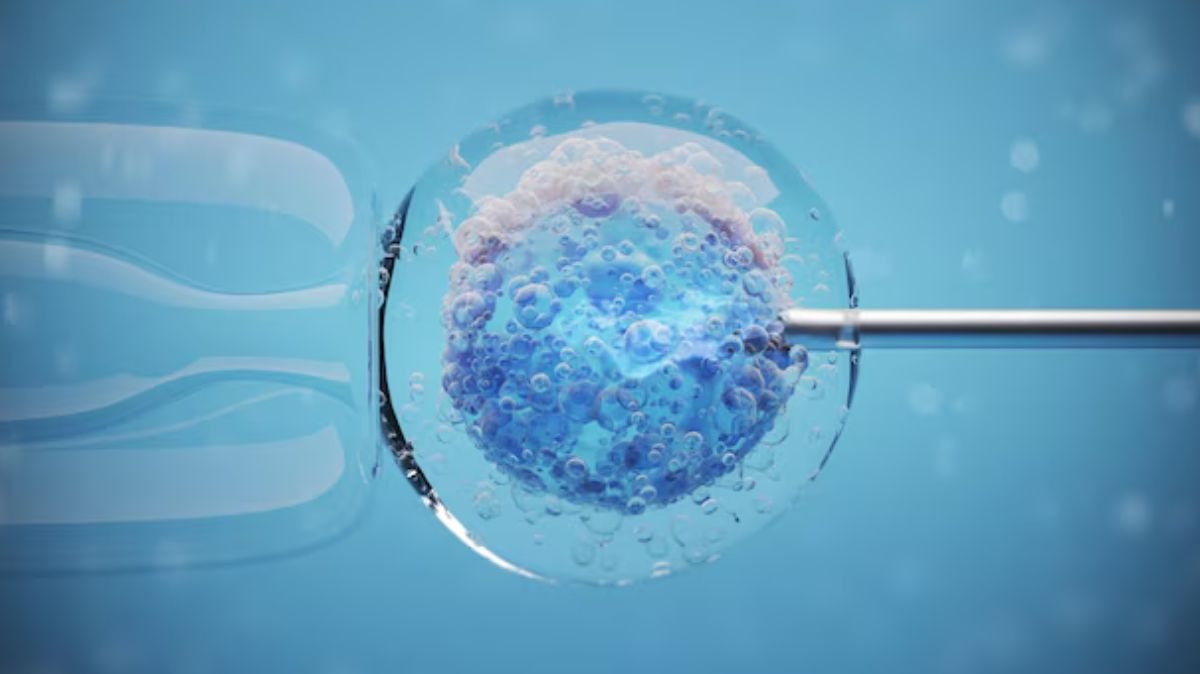 IVF சிகிச்சை.. கூடும் எடை.. குறைக்கும் வழி..