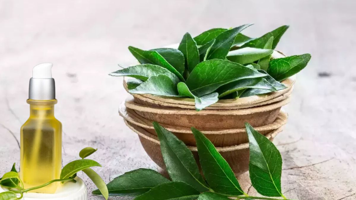 Curry Leaves Hair Oil: கரு கரு முடிக்கு கறிவேப்பிலை ஹேர் ஆயில்! வீட்டிலேயே இப்படி செய்யுங்க