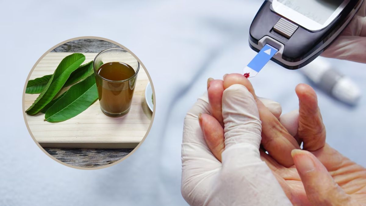 Guava Leaves For Diabetes: நீரிழிவு நோயாளிகளுக்கு உதவும் கொய்யா இலை. எப்படி சாப்பிடணும் தெரியுமா?