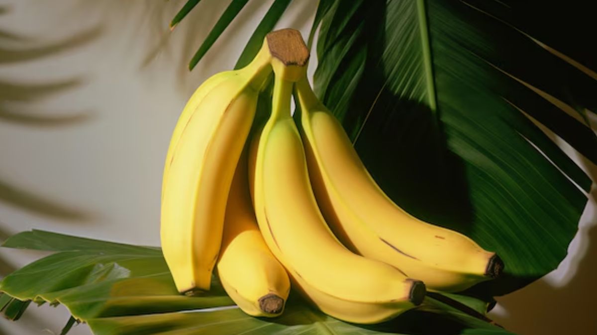 Banana Benefits: தினமும் ஒரு வாழைப்பழம் போதும்… பல நன்மைகளை அடையலாம்..