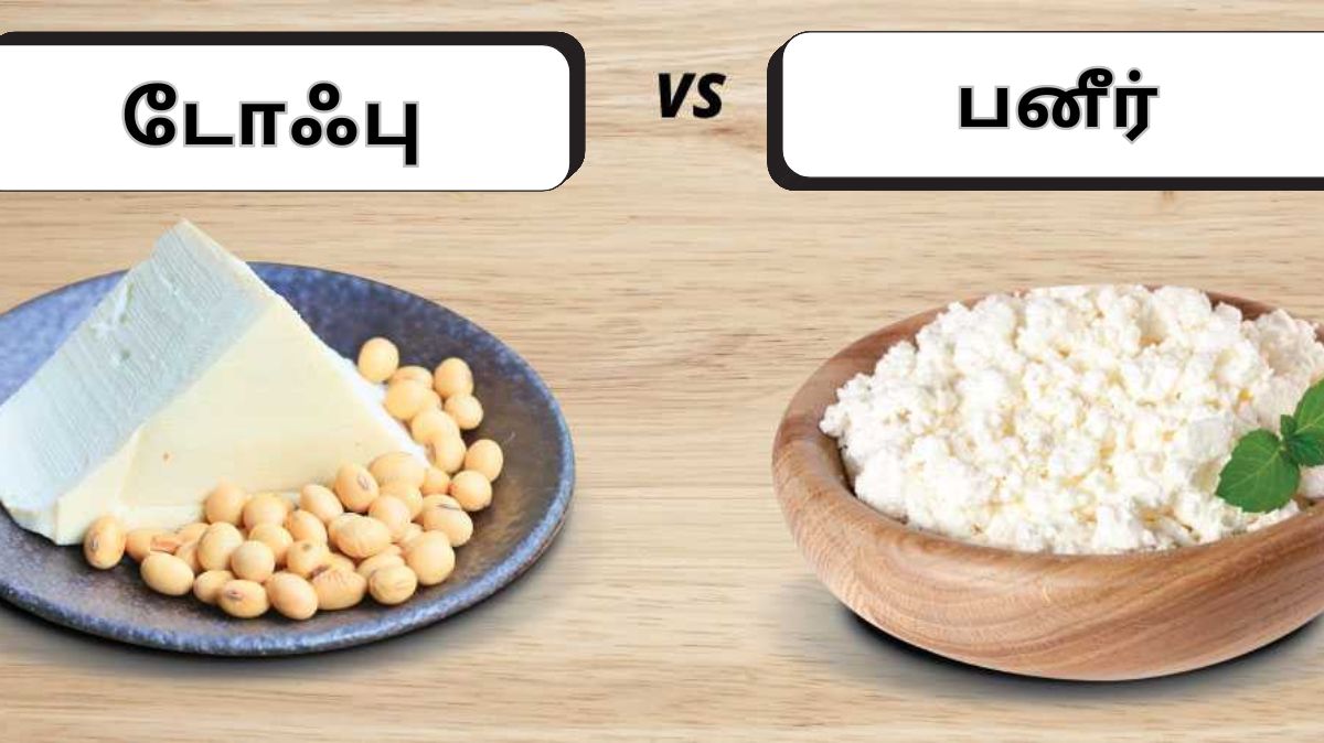 Paneer Vs Tofu: போட்டியில் வென்றது யார்.? எது சிறந்தது.?