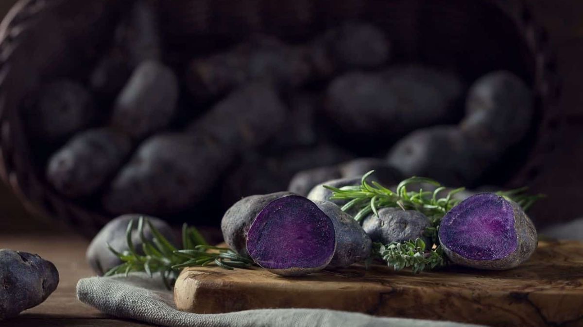 Purple Potatoes Benefits: ஊதா நிற உருளைக்கிழங்கில் ஒளிந்திருக்கும் நன்மைகள்