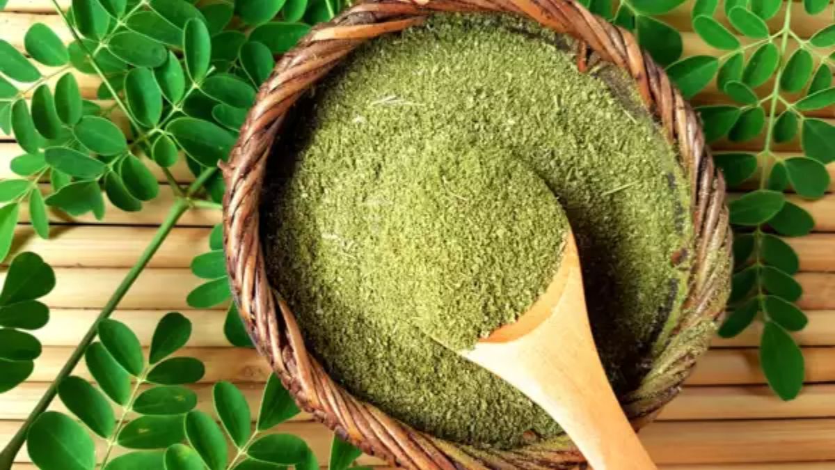 தினமும் ஒரு ஸ்பூன் மொரிங்கா சாப்பிடுவதால் உடலில் ஏற்படும் மாற்றங்கள் என்ன தெரியுமா?