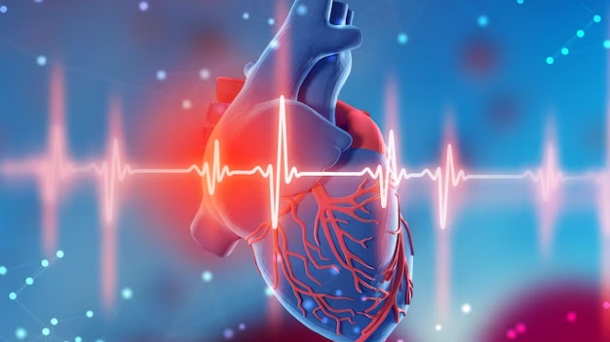 World Heart Day 2024: உலக இதய தினம் கொண்டாடப்படுவதற்கு இது தான் காரணம்..