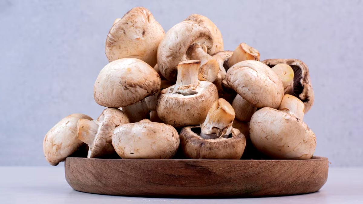 Mushroom Benefits: காளான் சாப்பிடுவதால் கிடைக்கும் அற்புத நன்மைகள்..