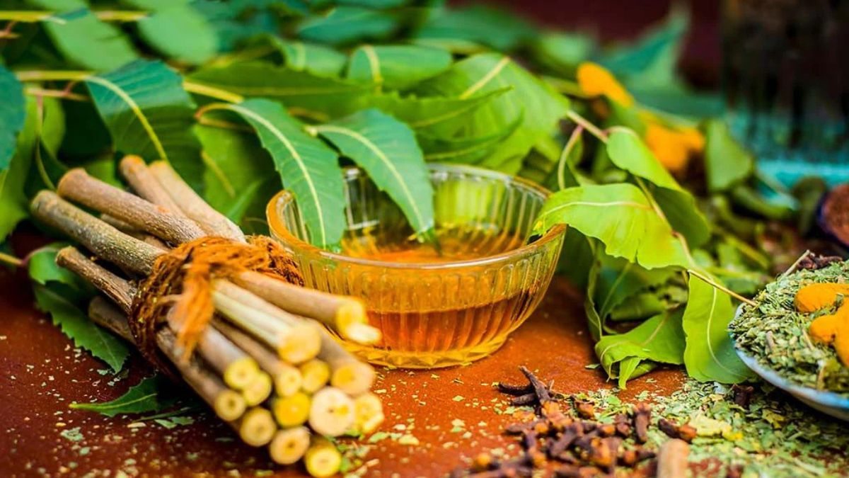 இரும்பு போல வலுவான பற்களுக்கு வேப்பங்குச்சி யூஸ் பண்ணுங்க!