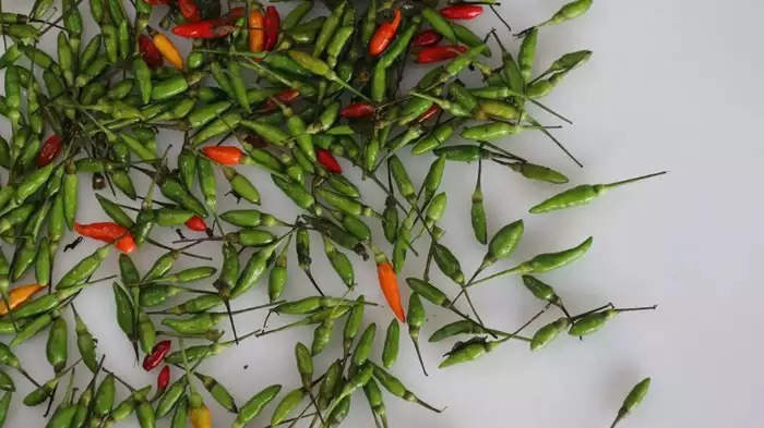 Kandhari Chili: கந்தாரி மிளகாய் சாப்பிட்டால் கொலஸ்ட்ரால் குறையுமா?