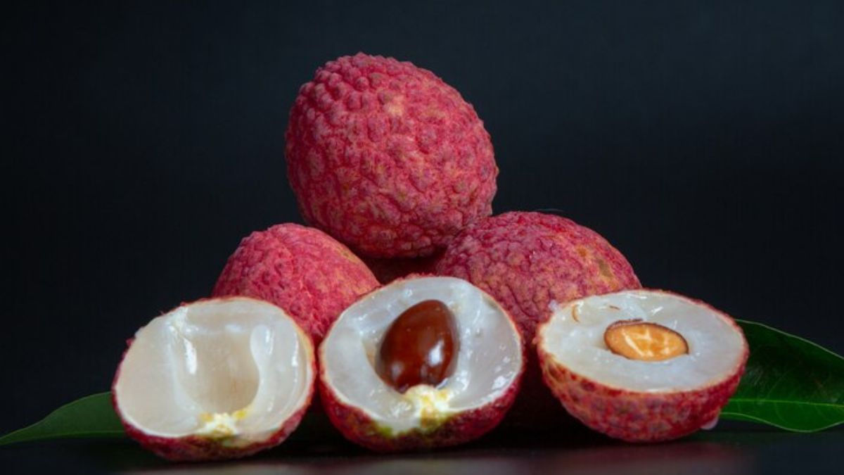 Lychee seeds benefits: லிச்சி விதைகளை சாப்பிடுவதால் என்ன நன்மைகள் கிடைக்கும் தெரியுமா?