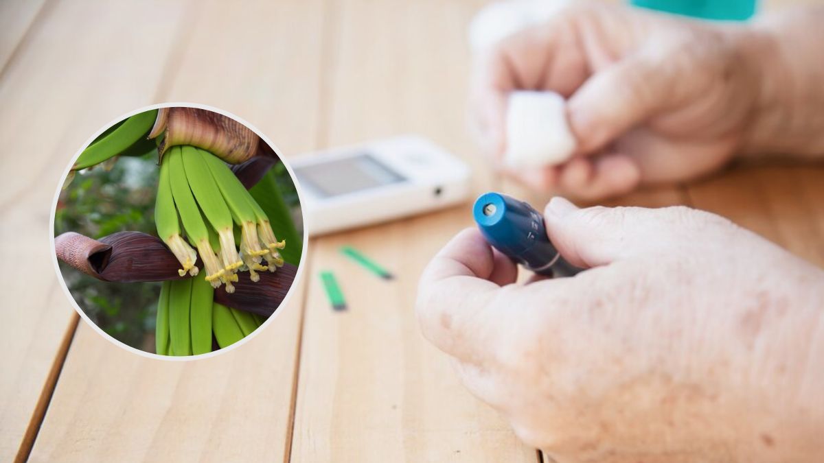 Banana flower for diabetes: நீரிழிவு நோயாளிகள் வாழைப்பூ சாப்பிடுவது எந்த அளவுக்கு நல்லதா?