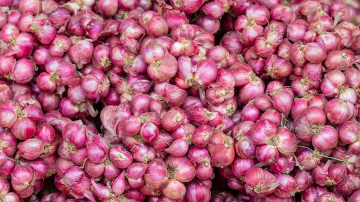 Chinna Vengayam Benefits: பேரு தான் சிறுசு.. பலன்களோ மலை அளவு.! சின்ன வெங்காயத்தின் அற்புதங்கள் இங்கே..