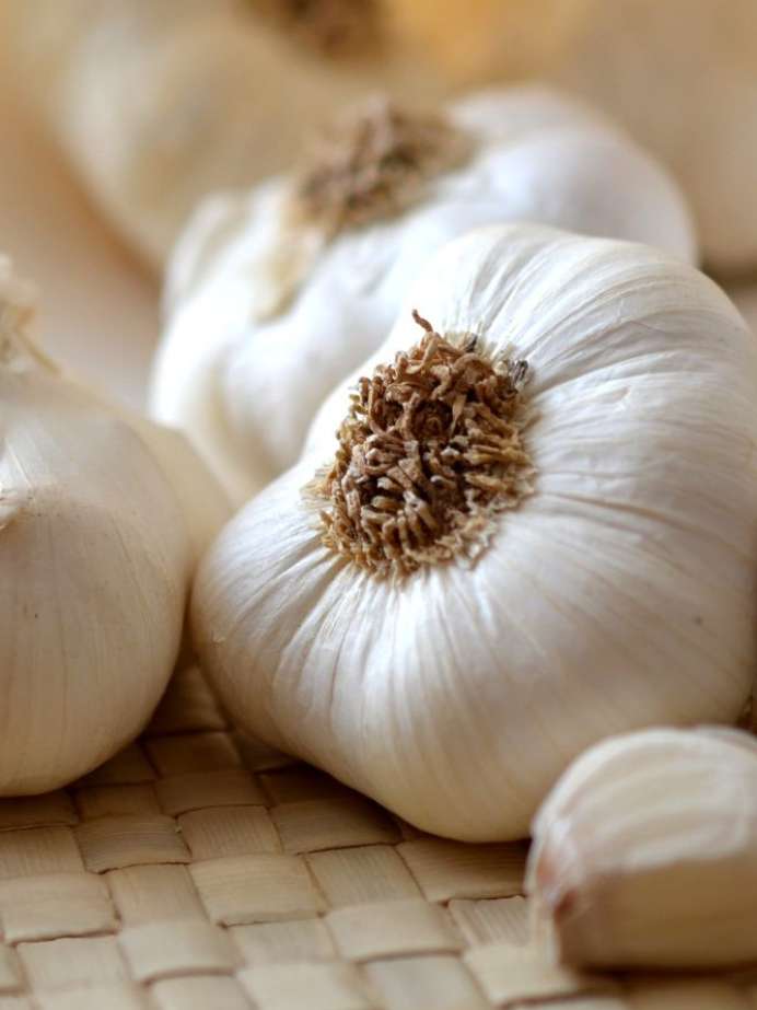 How To Eat Garlic To Reduce Belly Fat and Lose Weight Fast Onlymyhealth