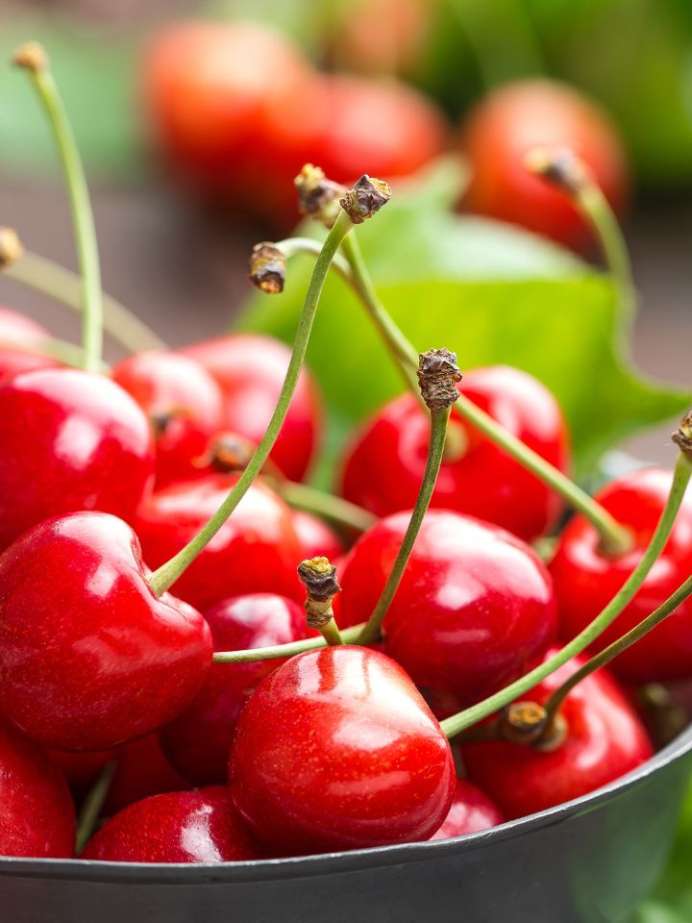 6 Surprising Health Benefits Of Eating Cherries Onlymyhealth