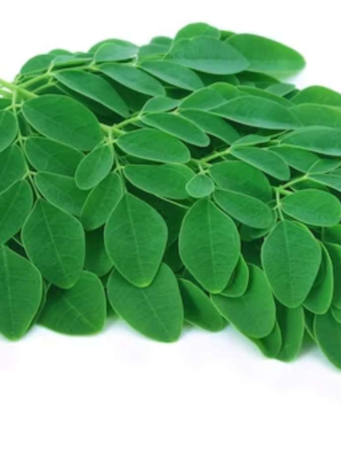 सहजन की पत्तियां सेहत को पहुंचाती हैं ये 5 चमत्कारी लाभ Drumstick Leaves