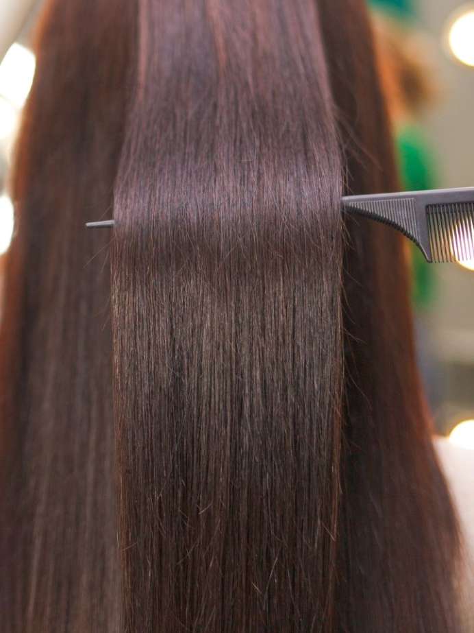 Best Homegrown Herbal Plants For Hair Growth Onlymyhealth