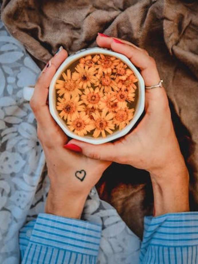 7 Best Flower Teas For Good Health