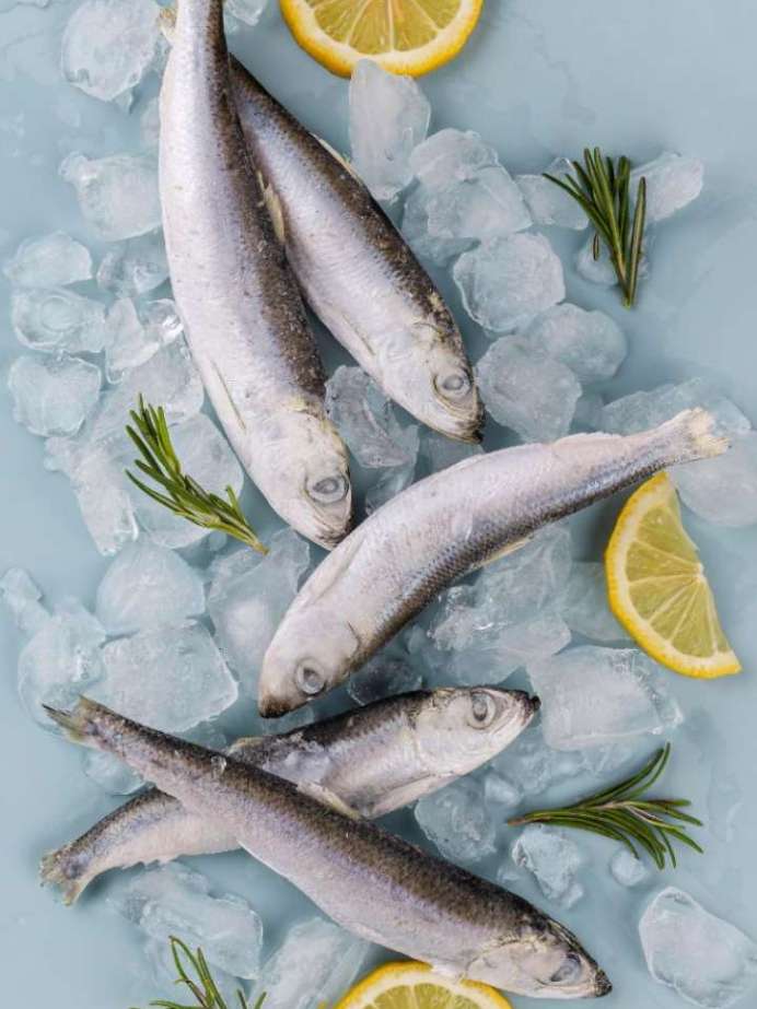 மழைக்காலத்தில் மீன் சாப்பிட்டால் இவ்வளவு ஆபத்தா?