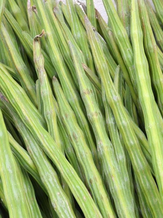 6 HealthEating Benefits of Drumsticks Onlymyhealth