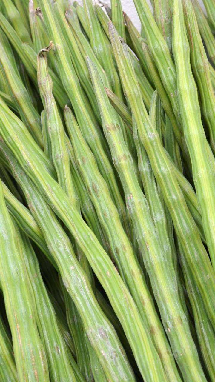 What Are The Benefits Of Eating Drumsticks at Philip Romero blog