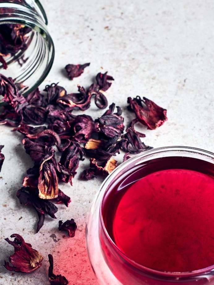 6 Reasons Why Women Must Drink Hibiscus Tea Onlymyhealth