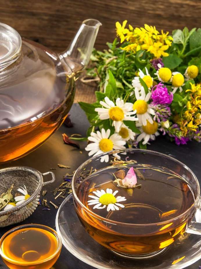 6 Herbal Teas For A Good Night's Sleep Insomnia Onlymyhealth