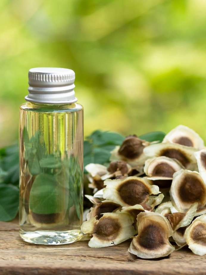 Is It Good To Apply Moringa Oil To The Face At Night? Onlymyhealth