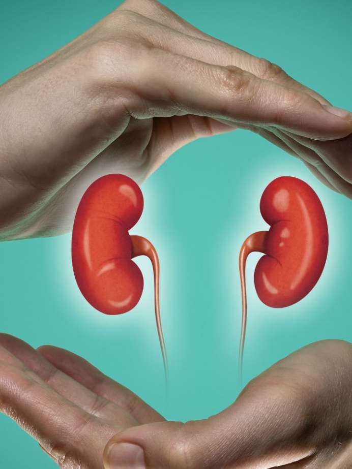 Common Habits That Can Damage Your Kidneys Onlymyhealth