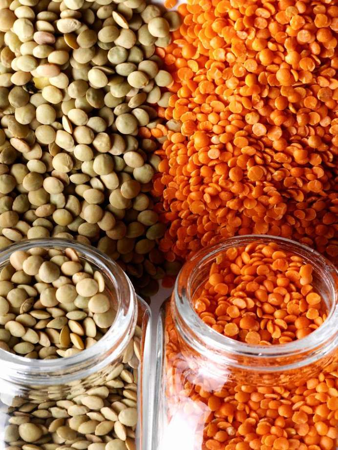 high-protein-lentils-for-weight-loss-onlymyhealth